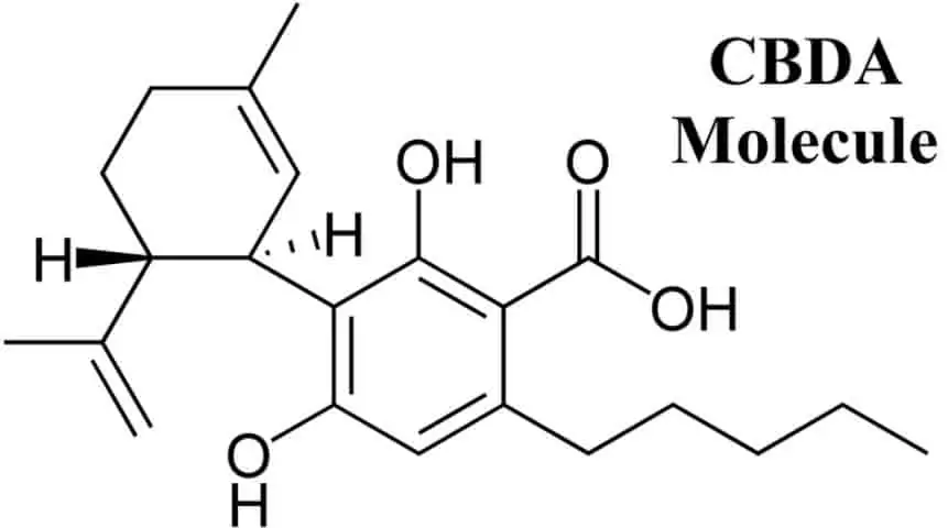 cbda-molecule_orig