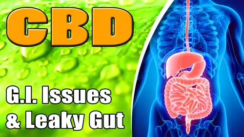 CBD-For-Gastrointestinal-Issues-and-Leaky-Gut