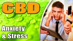 CBD-For-Stress-and-Anxiety