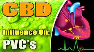 CBD FOR PVCS