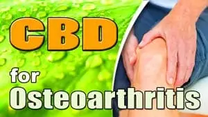 CBD-Oil-for-Osteoarthritis