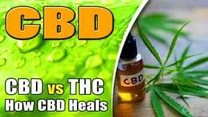 CBD-Versus-THC---How-CBD-Heals-The-Body