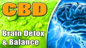 How-CBD-Detoxifies-The-Brain-and-Balances-The-Brain 300