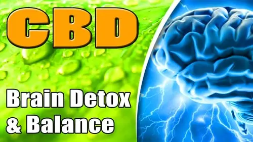 How-CBD-Detoxifies-The-Brain-and-Balances-The-Brain