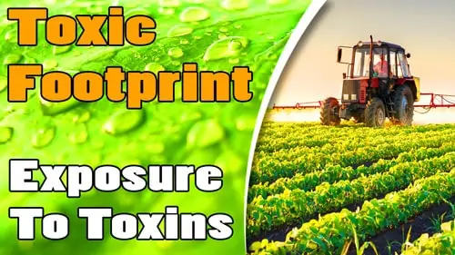 Toxic-Footprint-and-Exposure-To-Toxins