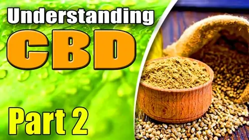Understanding-CBD-Part-2