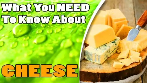 What-You-Need-To-Know-About-Cheese