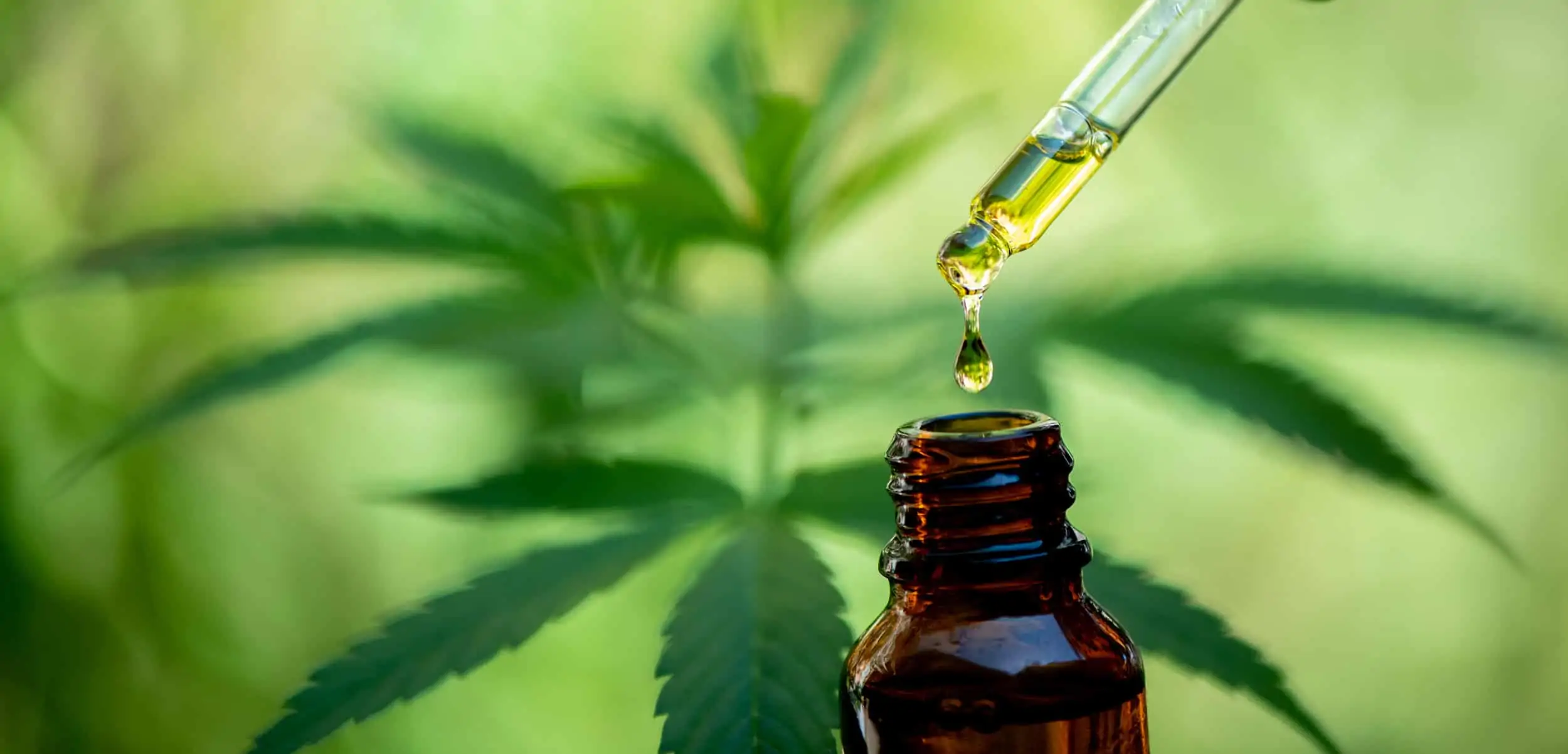WHAT-IS-CBD---CBD-FAQ---QUESTIONS-ABOUT-CBD---HOW-CAN-CBD-HELP---IS-CBD-FOR-ME