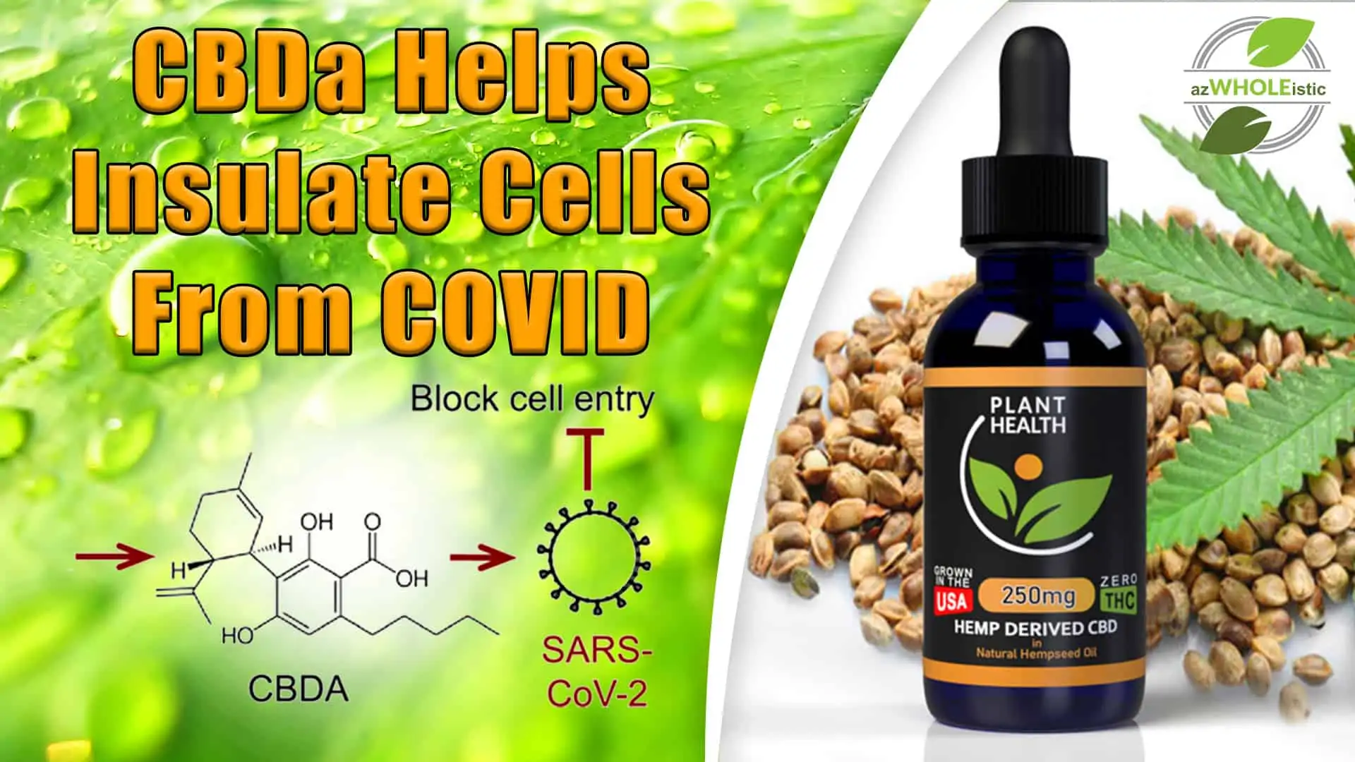 CBDA-HELPS-INSULATE-CELLS-FROM-COVID