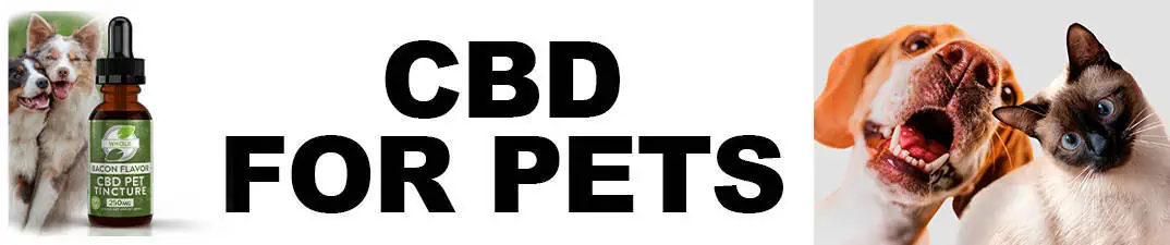 CBD-FOR-PETS-CBD-FOR-DOGS-CBD-FOR-CATS-CBD-FOR-ANIMALS-7