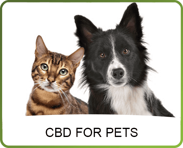 CBD-FOR-PETS